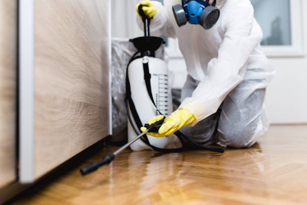 Best Pest Removal Services  in Dresser, WI