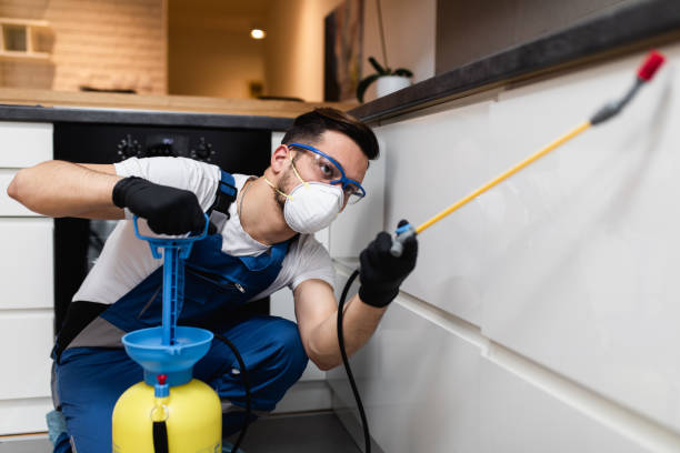 Best Residential Pest Control  in Dresser, WI