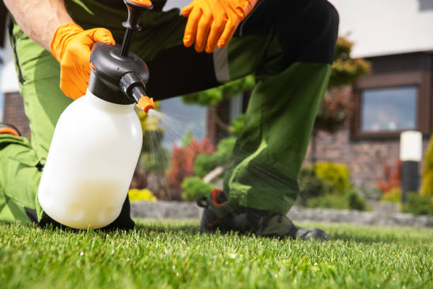 Best Cockroach Control Services  in Dresser, WI