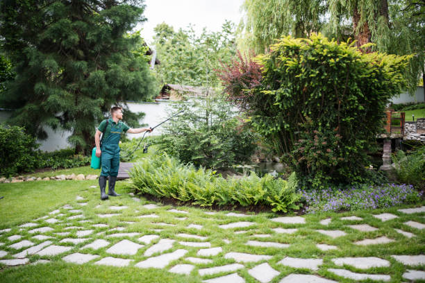 Wasp Removal Services in Dresser, WI
