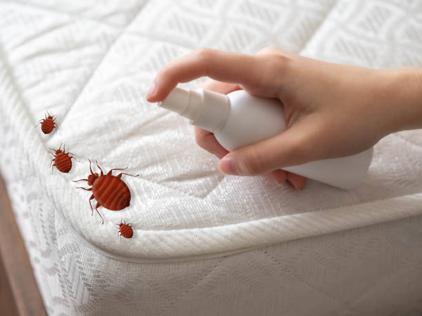 Best Pest Control Near Me in Dresser, WI
