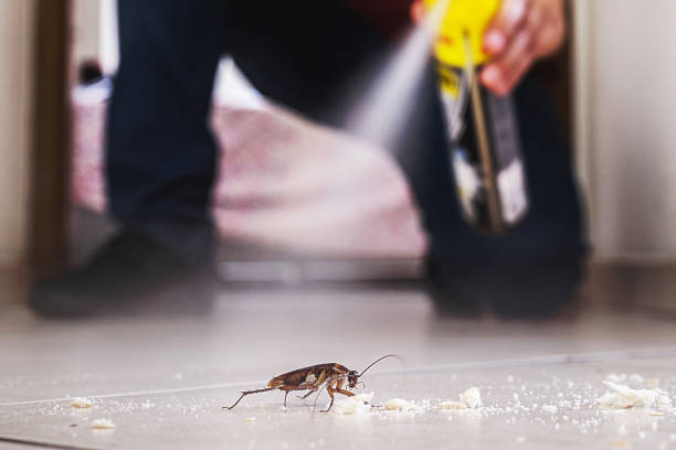 Best Pest Control Near Me in Dresser, WI