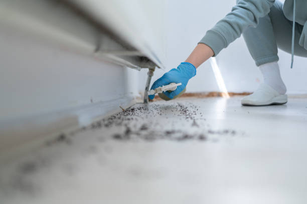 Best Affordable Pest Control Services  in Dresser, WI