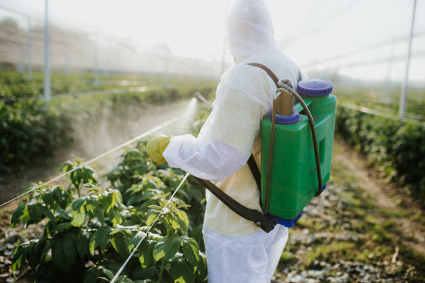 Best Mosquito Control Services  in Dresser, WI